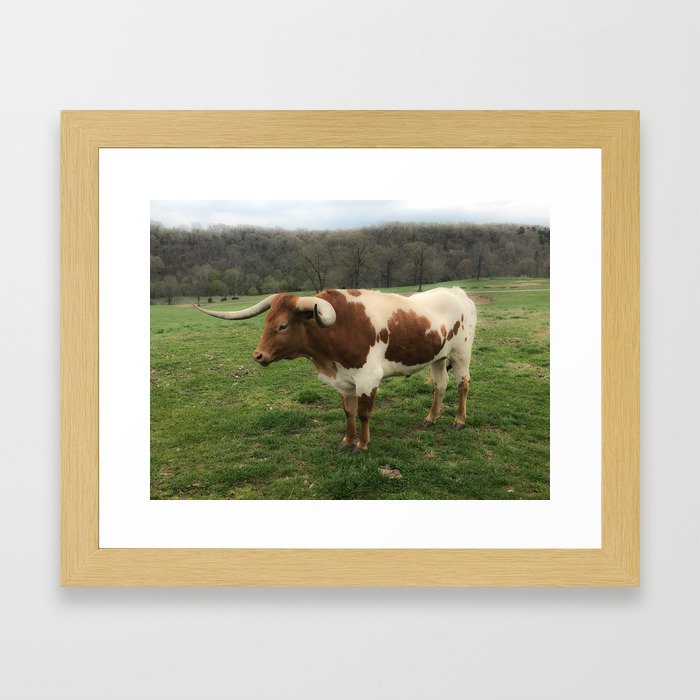 Longhorn Framed Art Print