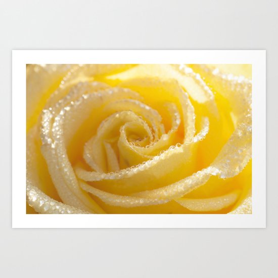 Yellow Romance - Yellow Rose with sparkling waterdrops - Roses Art Print