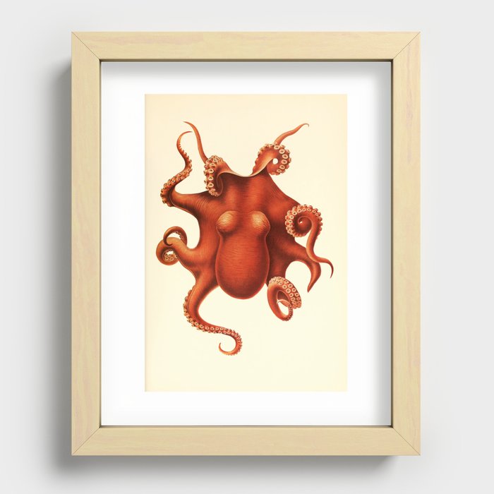 Recessed Framed Print