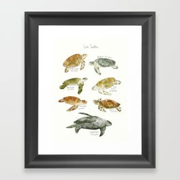 Sea Turtles Framed Art Print