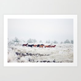 Winter Horse Herd Art Print