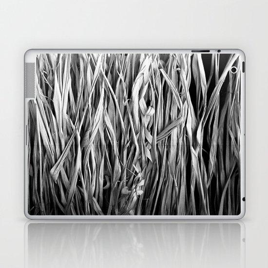Twist Laptop & iPad Skin