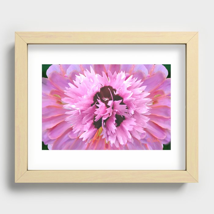 Scent of Pink  Recessed Framed Print