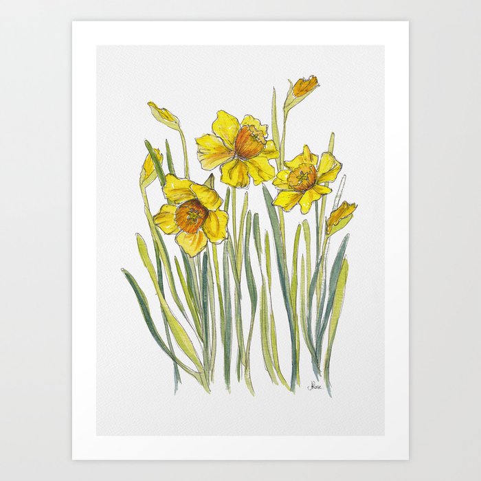 Yellow Daffodils Art Print