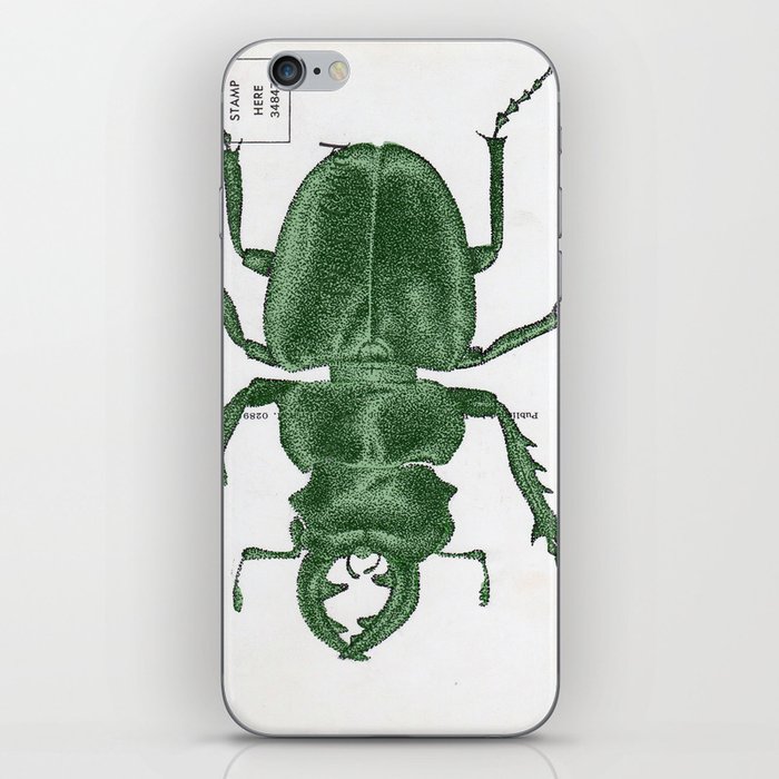 Green Beetle Postcard iPhone Skin