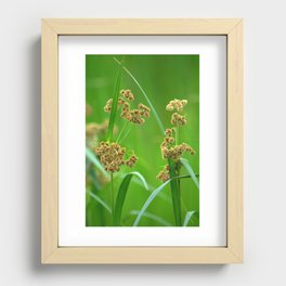 Waiting.... Recessed Framed Print