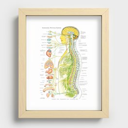 Autonomic Nervous System Poster Chiropractic Medical Chart Recessed Framed Print