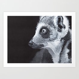 Noah's Ark Collection :: Lemur Art Print | Acrylic, Lemur, Animal, Black And White, Noahsark, Painting 