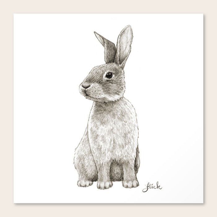 Rabbit Artwork - "Spinning Cotton-Tails" Bunny Drawing ...