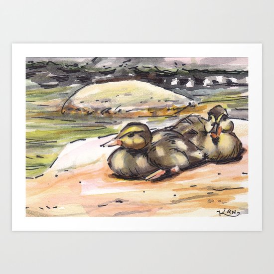 baby ducks Art Print