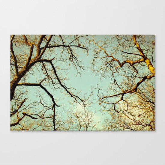 connections Canvas Print