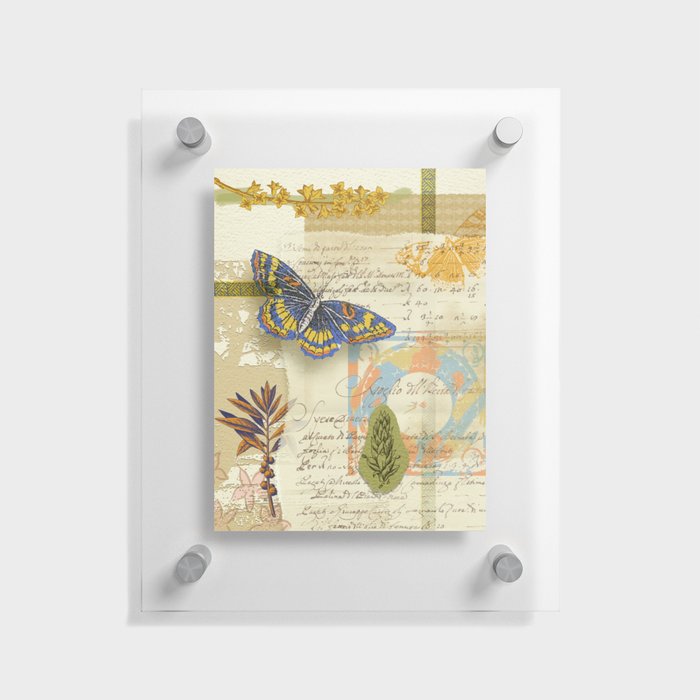 Naturalis Historia 3 Floating Acrylic Print