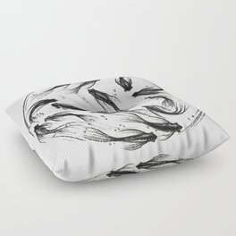 The Fish life Floor Pillow