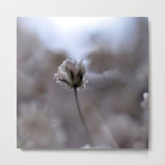 Rapture... Metal Print