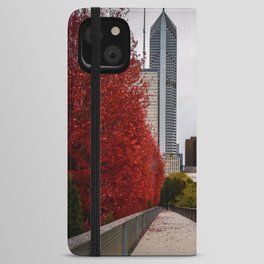 Perfect Autumn Day VI iPhone Wallet Case