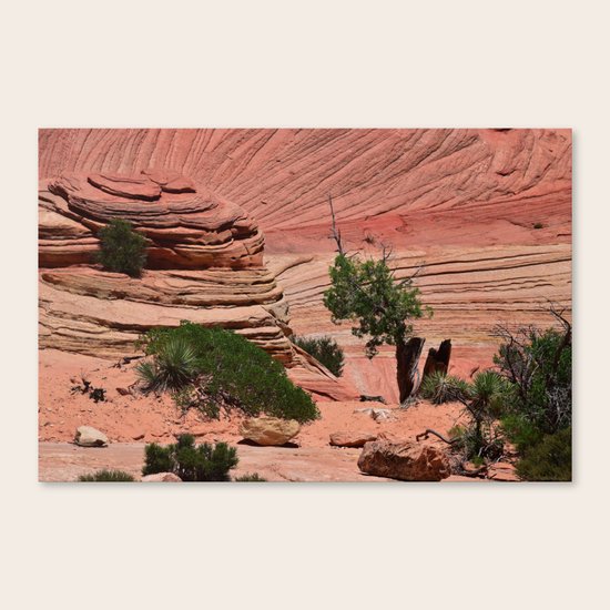 Zion - II Canvas Print