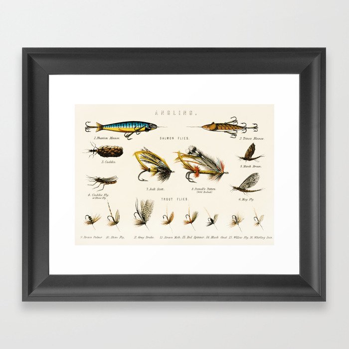 Illustrated Freshwater Fish Angling baits and fishing flies chart Framed Art Print