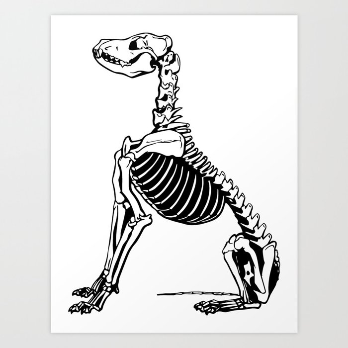 Dog Skull Art Print by Original DNA Plus