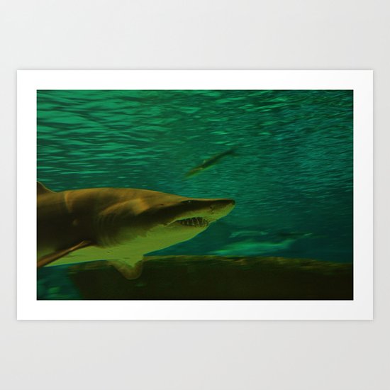 Apex Predator Art Print