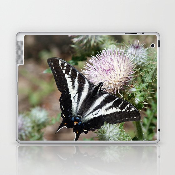 Swallowtail Butterfly Thistle Wildflower Nature Wildlife Garden Plants Insect Art Botanical Oregon Pacific Northwest Laptop & iPad Skin