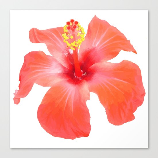 Red Hibiscus Vector Isolated Canvas Print