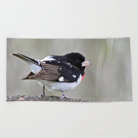 A Touch of Class Beach Towel