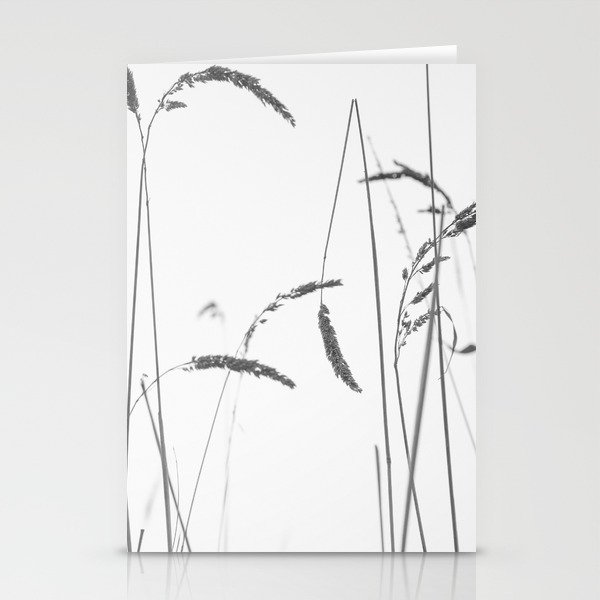 Wild Grass Black and White Photography Stationery Cards