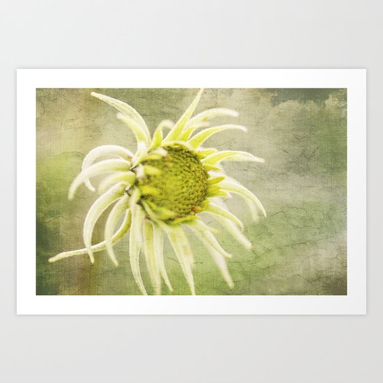 starburst Art Print
