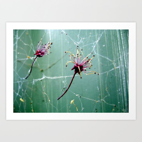 Catch Me I'm Falling Art Print