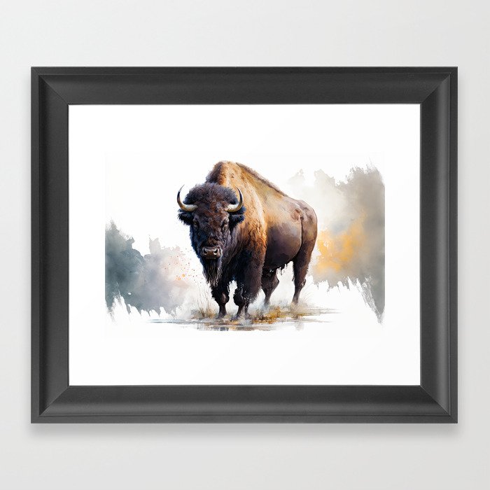 Buffalo  Framed Art Print