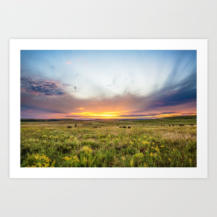 Tallgrass Prairie - Sunset and Bison on the Plains Art Print