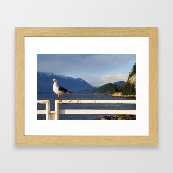 Seagull Framed Art Print