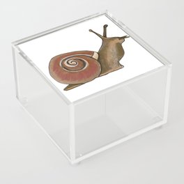 Garden Snail Acrylic Box