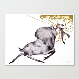 The Stag & His Reflection Canvas Print
