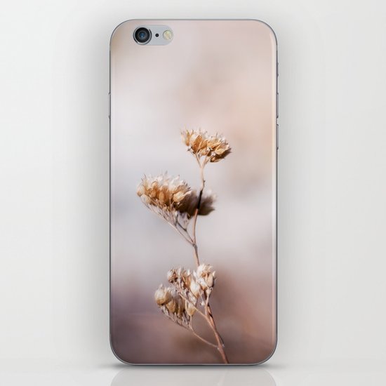 In Dreams iPhone & iPod Skin