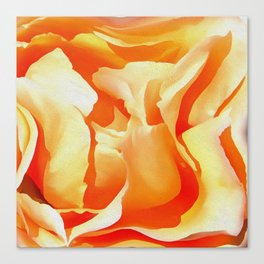 Apricot Rose Canvas Print