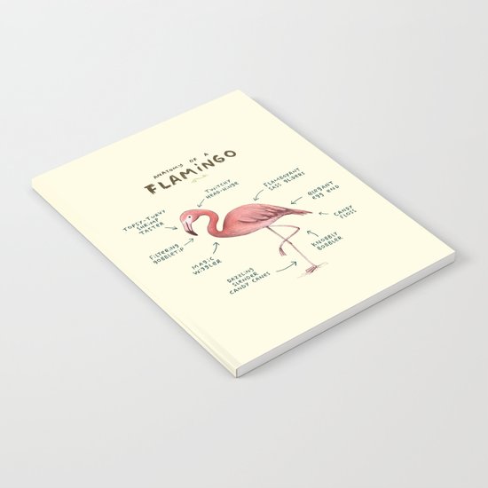 Anatomy of a Flamingo Notebook