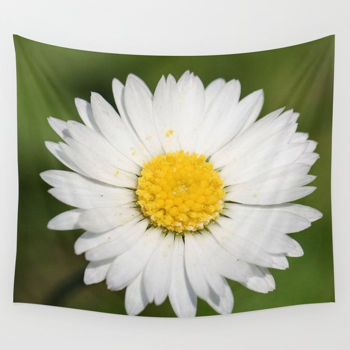 Closeup of a Beautiful Yellow and White Daisy flower Wall Tapestry