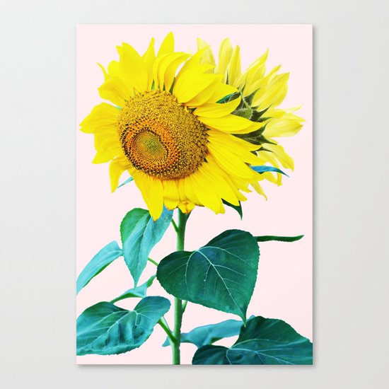 Sun Flowers #society6 #decor #buyart Canvas Print