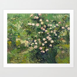 Vincent van Gogh - Roses, 1889 Art Print