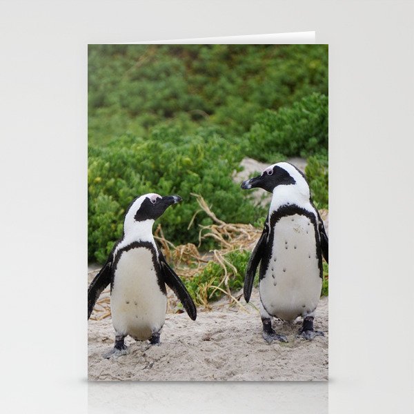 South Africa Photography - Two Small Penguins At The Beach Stationery Cards