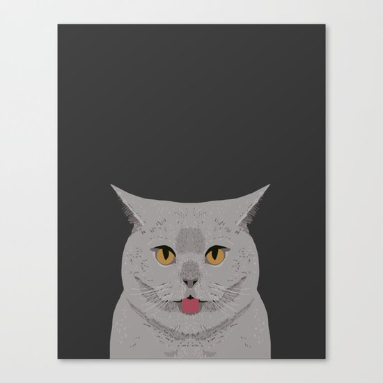 Dating for cat lovers uk