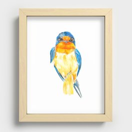 Barn Swallow - Andorinha - orange and blue - bird - illustration Recessed Framed Print