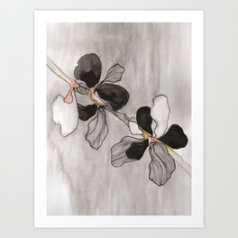 Orchid Duet Art Print