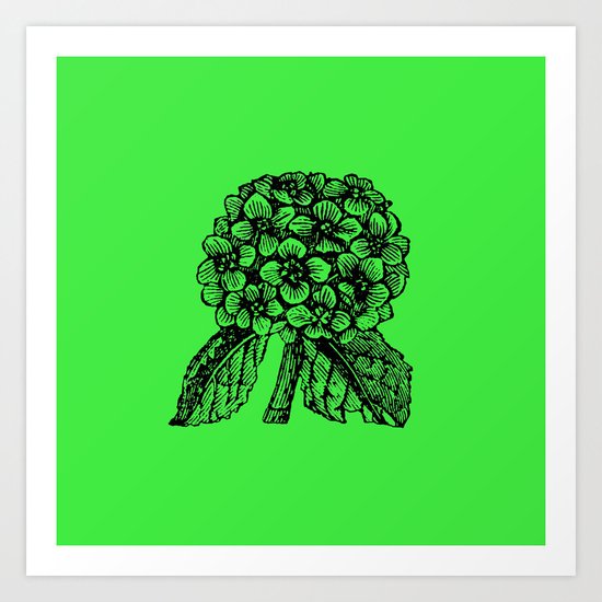 Green Hydrangea Art Print
