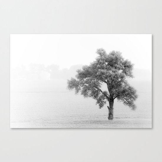 solace Canvas Print