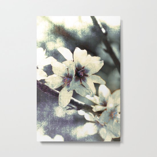Almond bloom Metal Print