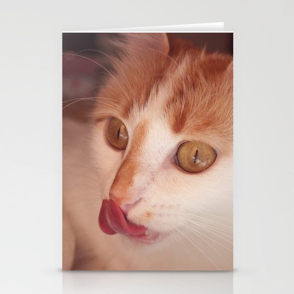 So delicious - Lovely Cat Stationery Cards