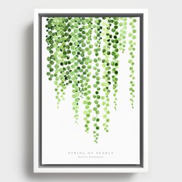 Watercolor string of pearls illustration Framed Canvas