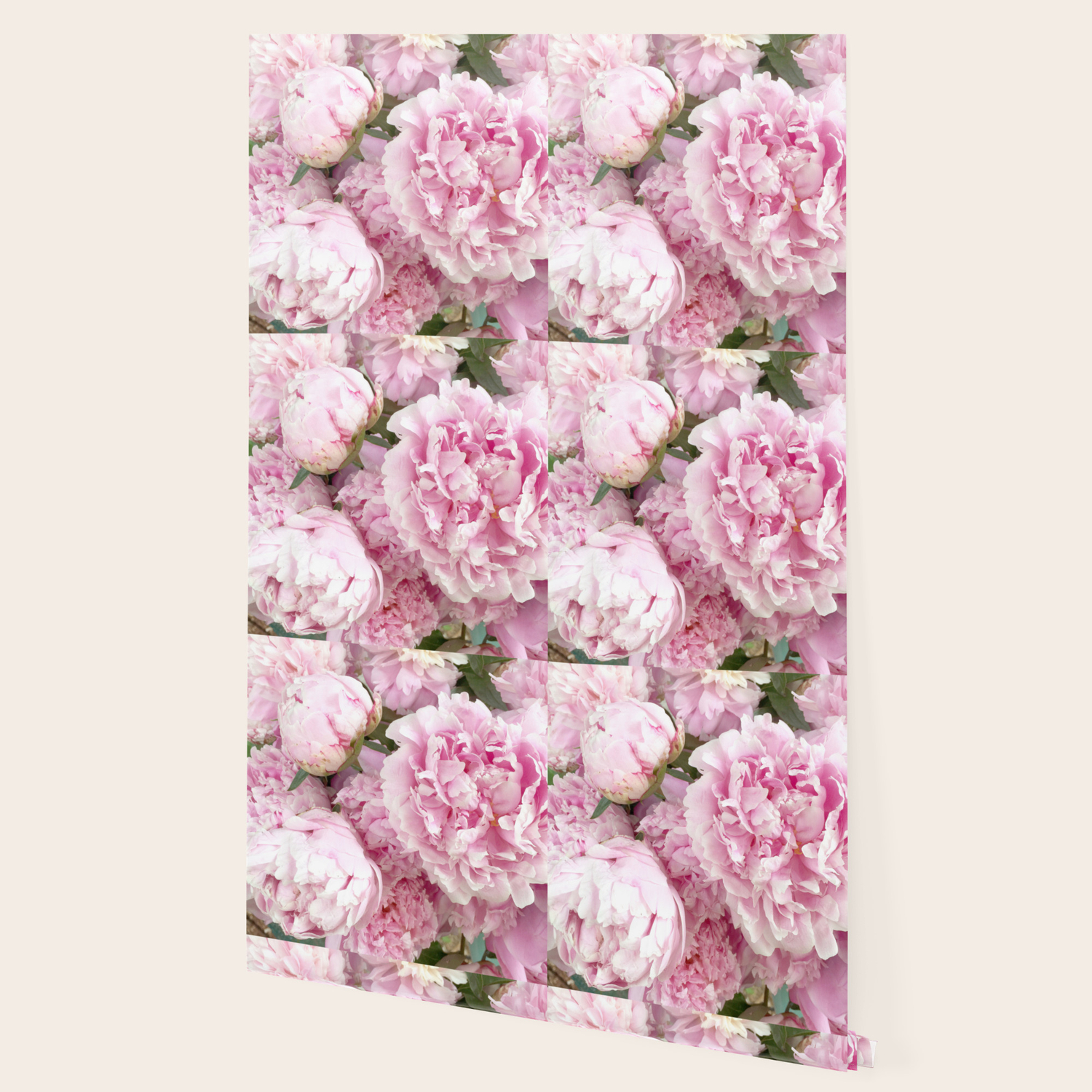 Pink Shabby Chic Peonies Garden Peony Flowers Wall Prints Home